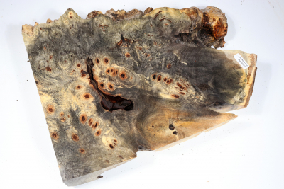 Buckeye Tree Burl 320x250x63mm - Buck0143