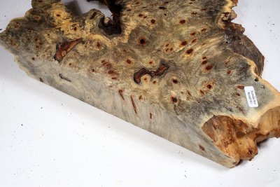 Buckeye Tree Burl 350x260x60mm - Buck0151