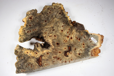 Buckeye Tree Burl 350x260x60mm - Buck0151