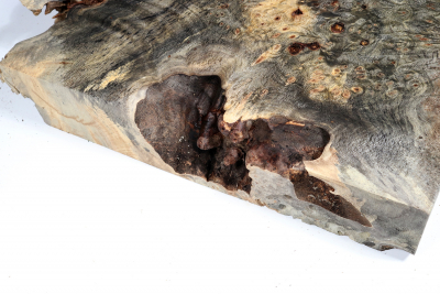 Buckeye Tree Burl 370x320x65mm - Buck0149