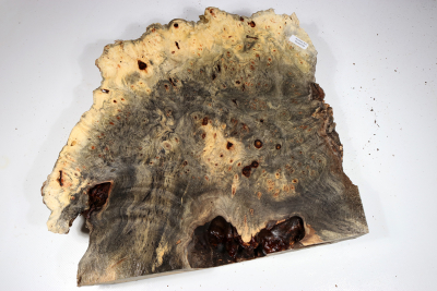 Buckeye Tree Burl 370x320x65mm - Buck0149