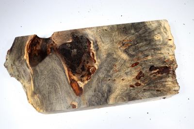 Buckeye Tree Burl 450x210x48mm - Buck0141