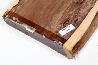 Abschnitt Cocus 325x160x27mm - Cocu0181