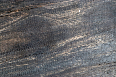 Ebony, african 305x160x40mm - Eben0180