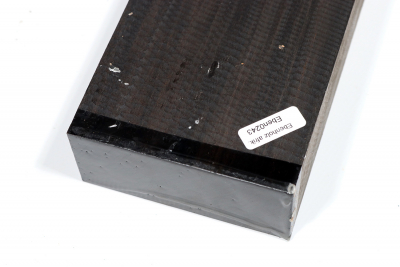 Abschnitt Ebenholz, afrikanisch 305x90x38mm - Eben0243