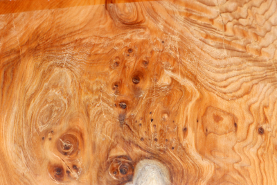 Abschnitt Eibe Maser 170x160x85mm - Eib1759