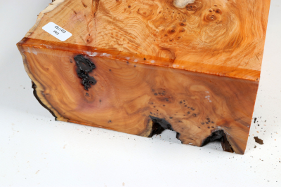 Abschnitt Eibe Maser 170x160x85mm - Eib1759