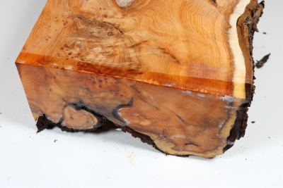 Abschnitt Eibe Maser 170x160x85mm - Eib1759