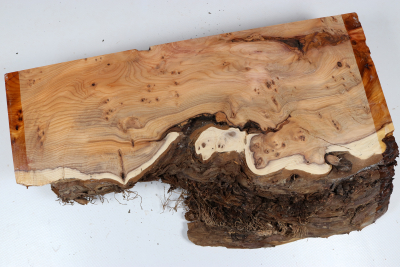 Abschnitt Eibe Maser 305x185x70mm - Eib1761