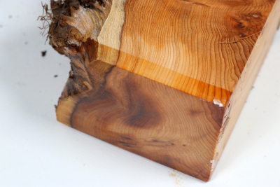 Abschnitt Eibe Maser 305x185x70mm - Eib1761