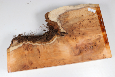 Abschnitt Eibe Maser 305x185x70mm - Eib1761