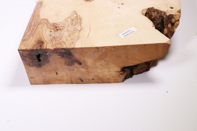 Ash Burl 225x215x65mm - Esch0152