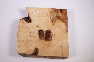 Ash Burl 225x215x65mm - Esch0152