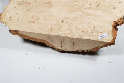 Ash Burl 380x350x65mm - Esch0256