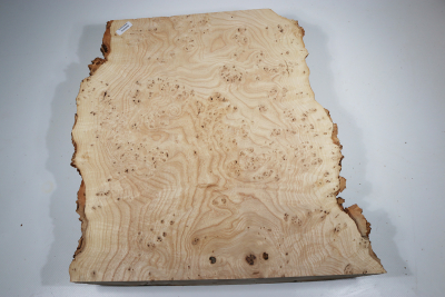 Ash Burl 380x350x65mm - Esch0256