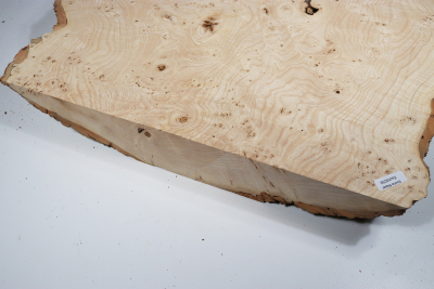 Ash Burl 460x370x65mm - Esch0259