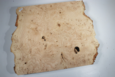 Ash Burl 460x370x65mm - Esch0259
