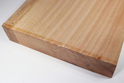 Abschnitt Eukalyptus 300x285x60mm - Euka0206