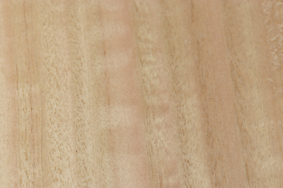 Board Eucalyptus 300x300x55mm - Euka0207