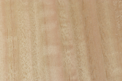 Board Eucalyptus 300x300x55mm - Euka0207