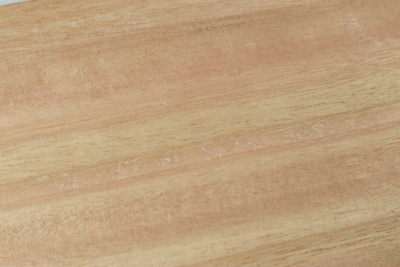 Abschnitt Eukalyptus 420x245x55mm - Euka0204