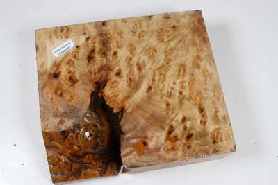Golden Madrone Burl 195x170x60mm - GMadr0567
