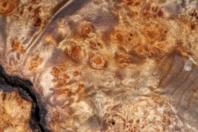 Golden Madrone Burl 220x210x60mm - GMadr0554