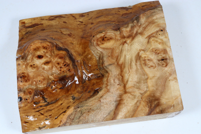 Abschnitt Golden Madrone 225x180x60mm - GMadr0551