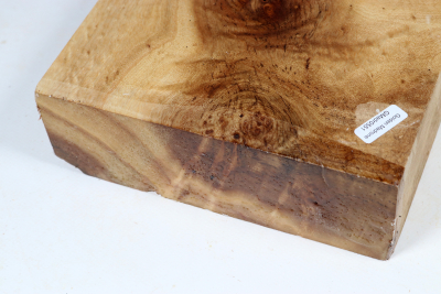 Abschnitt Golden Madrone 225x180x60mm - GMadr0551