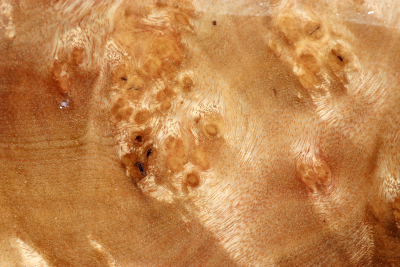 Abschnitt Golden Madrone 230x215x60mm - GMadr0555