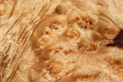 Abschnitt Golden Madrone 240x225x60mm - GMadr0544