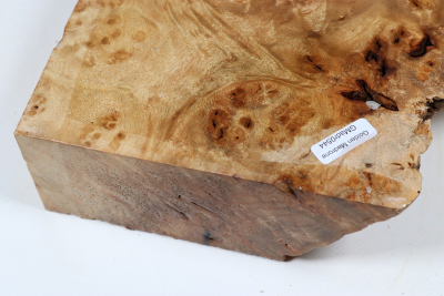 Abschnitt Golden Madrone 240x225x60mm - GMadr0544