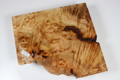 Abschnitt Golden Madrone 240x225x60mm - GMadr0544 Abschnitt Golden Madrone 240x225x60mm - GMadr0544