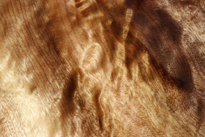 Abschnitt Golden Madrone 250x225x60mm - GMadr0458