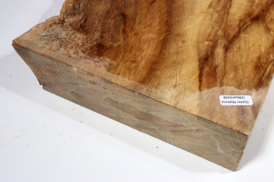 Abschnitt Golden Madrone 250x225x60mm - GMadr0458