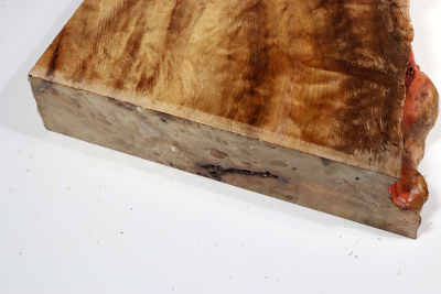Abschnitt Golden Madrone 250x225x60mm - GMadr0458