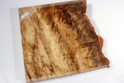 Abschnitt Golden Madrone 250x225x60mm - GMadr0458