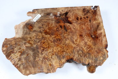 Abschnitt Golden Madrone 270x190x60mm - GMadr0571 Abschnitt Golden Madrone 270x190x60mm - GMadr0571