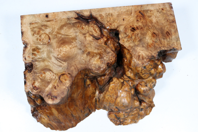 Golden Madrone Burl 280x210x60mm - GMadr0550