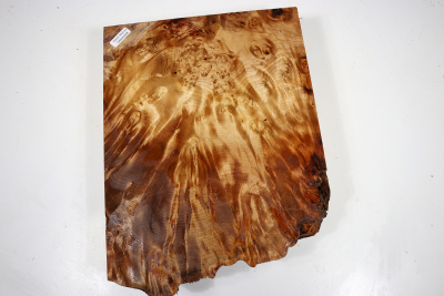 Abschnitt Golden Madrone 285x215x60mm - GMadr0408