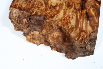 Abschnitt Golden Madrone 285x215x60mm - GMadr0408