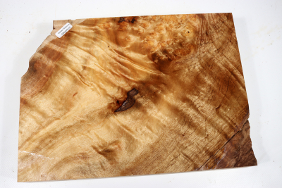 Abschnitt Golden Madrone 295x220x60mm - GMadr0410