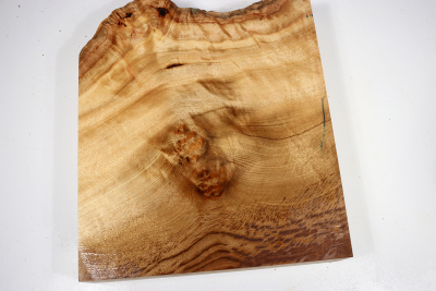 Abschnitt Golden Madrone 300x260x57mm - GMadr0406
