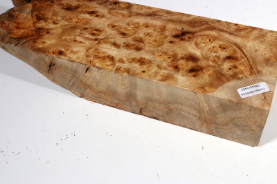 Abschnitt Golden Madrone 300x88x60mm - GMadr0482
