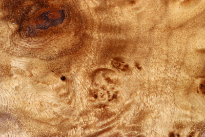 Golden Madrone Burl 350x170x60mm - GMadr0412