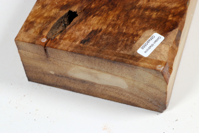 Golden Madrone Burl 370x125x60mm - GMadr0568