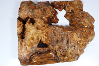 Abschnitt Golden Madrone 370x295x57mm - GMadr0542