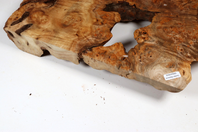 Abschnitt Golden Madrone 370x295x57mm - GMadr0542