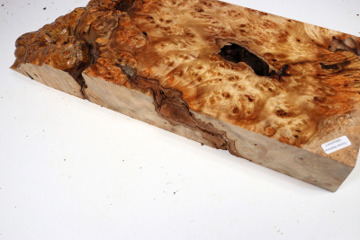 Abschnitt Golden Madrone 430x150x60mm - GMadr0411