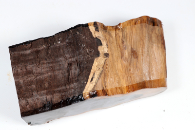 African Blackwood Burl 175x80x70mm - Gren0574